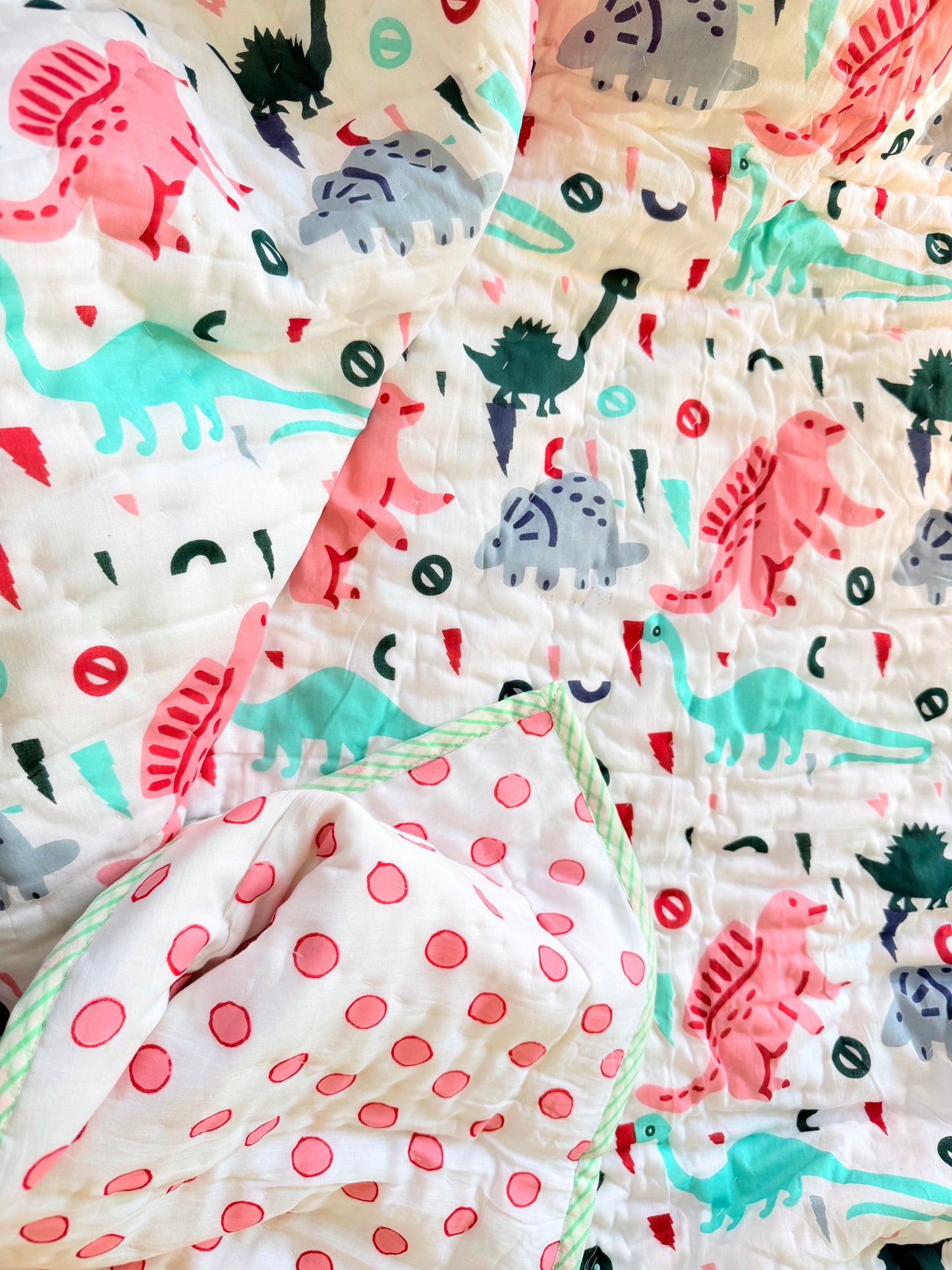 Organic Mulmul Cotton Baby Quilt | Dino tales