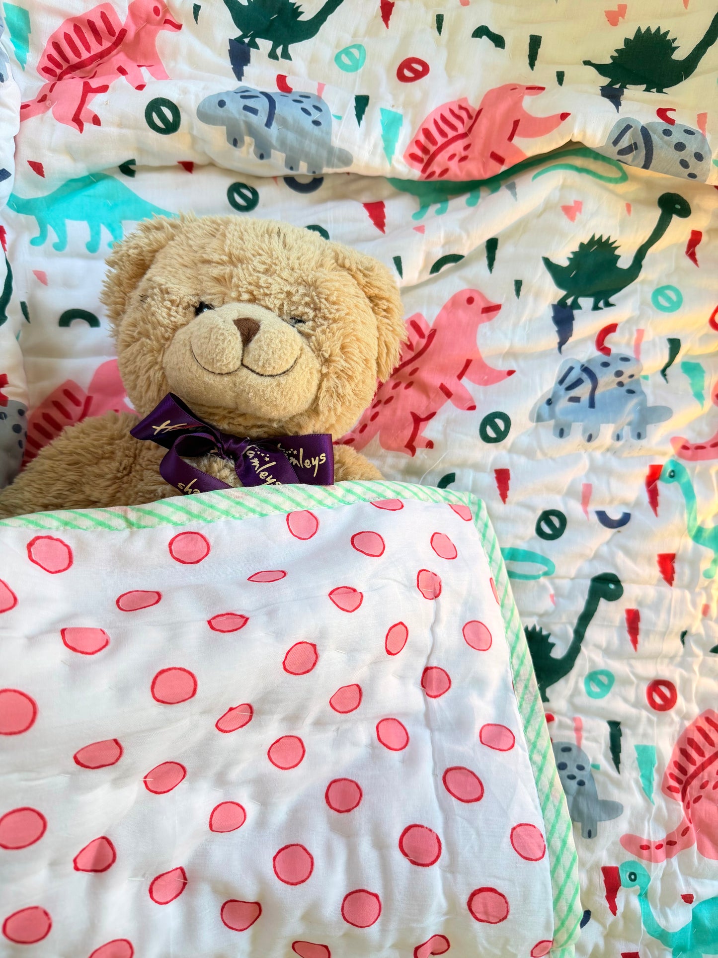 Organic Mulmul Cotton Baby Quilt | Dino tales